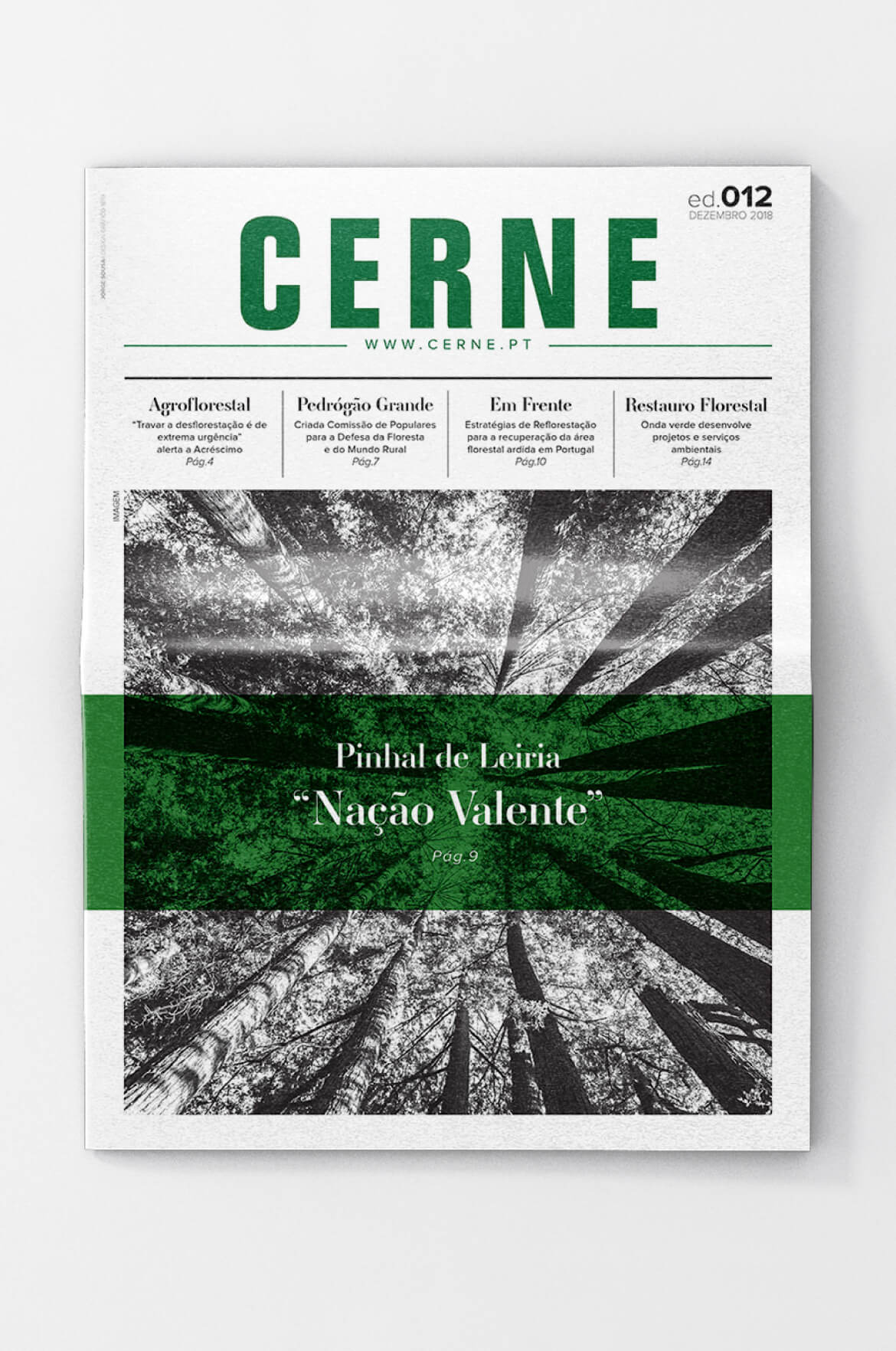 banner-home-page-jornal-cerne-mobile