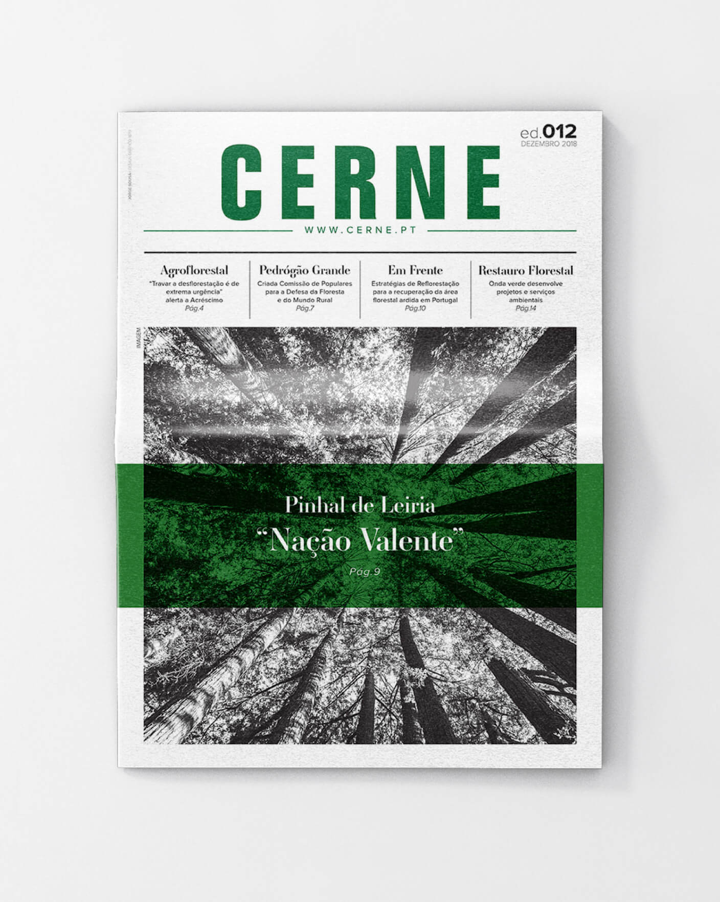 banner-home-page-jornal-cerne-tablet